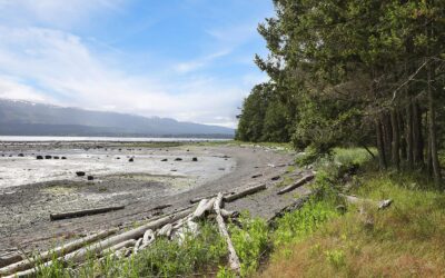 6167 Lacon Rd, Denman Island